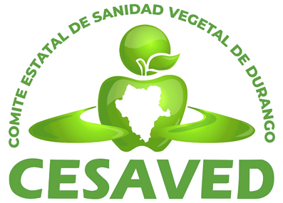 Logo CESAVED